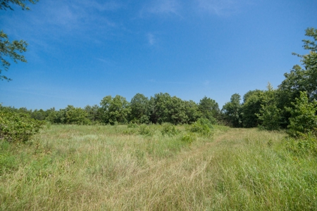 Crawford County AR 35 Acres Land For Sale - image 14