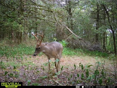 Crawford County AR 35 Acres Land For Sale - image 24