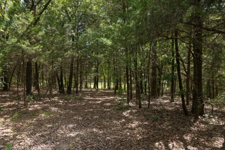 Crawford County AR 35 Acres Land For Sale - image 4