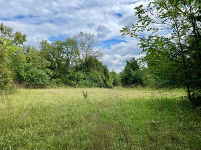Crawford County AR 35 Acres Land For Sale - image 22