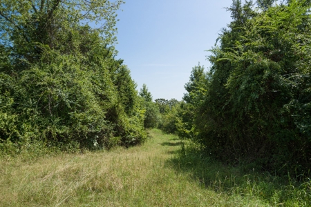 Crawford County AR 35 Acres Land For Sale - image 12
