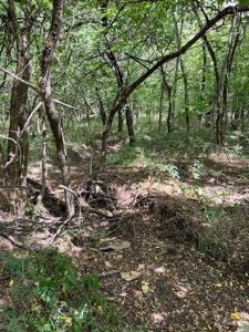 Land for Sale in Osage County Kansas 110.23 +/- Acres - image 7