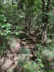 Land for Sale in Osage County Kansas 110.23 +/- Acres - image 6