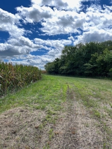Land for Sale in Osage County Kansas 110.23 +/- Acres - image 5