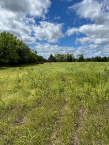 Land for Sale in Osage County Kansas 110.23 +/- Acres - image 3