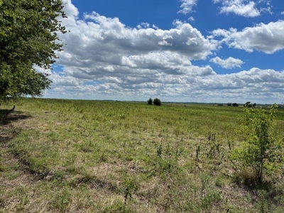 Land for Sale in Osage County Kansas 110.23 +/- Acres - image 2