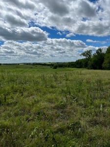 Land for Sale in Osage County Kansas 110.23 +/- Acres - image 4
