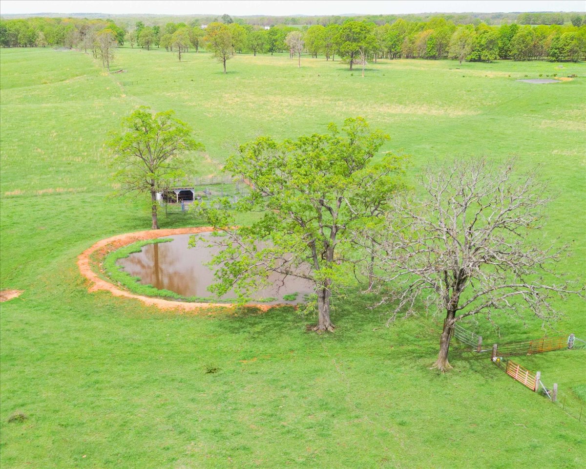 Water on property