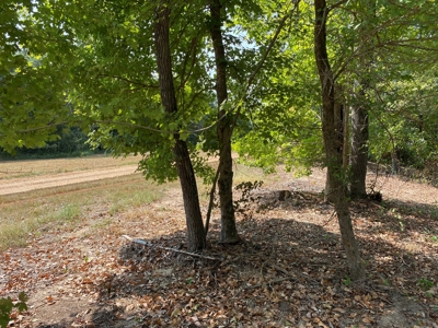 Unrestricted Land For Sale With Utilities Available - image 7