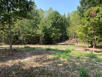Unrestricted Land For Sale With Utilities Available - image 1