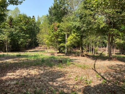 Unrestricted Land For Sale With Utilities Available - image 8