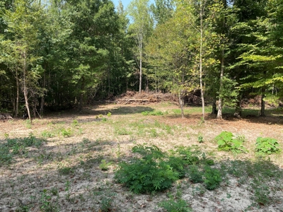 Unrestricted Land For Sale With Utilities Available - image 5