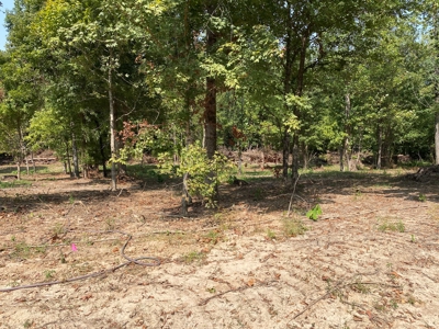 Unrestricted Land For Sale With Utilities Available - image 12