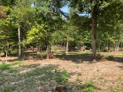 Unrestricted Land For Sale With Utilities Available - image 11