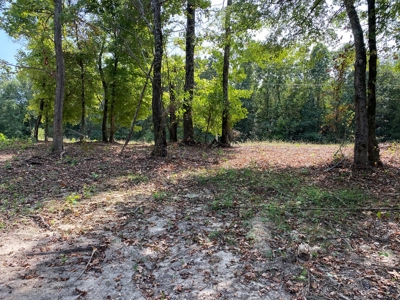 Unrestricted Land For Sale With Utilities Available - image 3