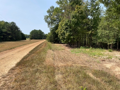 Unrestricted Land For Sale With Utilities Available - image 2