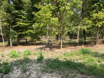 Unrestricted Land For Sale With Utilities Available - image 9