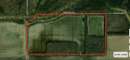 Gibson County Farm & Hunting Land For Sale - image 3