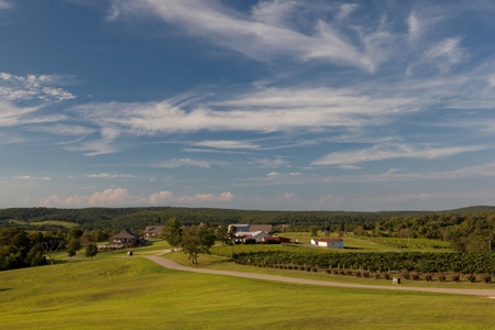 Chaumette Vineyard & Winery in Ste. Genevieve Missouri - image 47