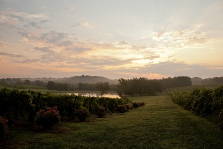 Chaumette Vineyard & Winery in Ste. Genevieve Missouri - image 49