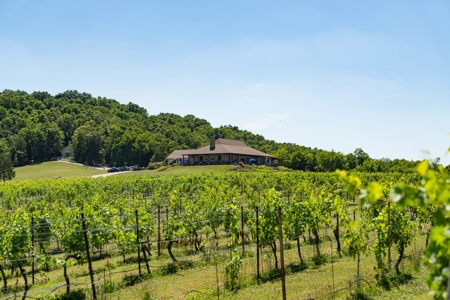 Chaumette Vineyard & Winery in Ste. Genevieve Missouri - image 48