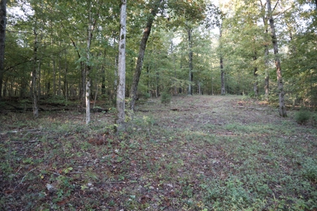 Southfork River Frontage Property With Development Potential - image 11