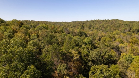 Southfork River Frontage Property With Development Potential - image 43
