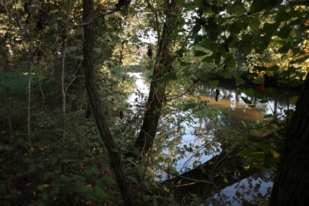 Southfork River Frontage Property With Development Potential - image 4