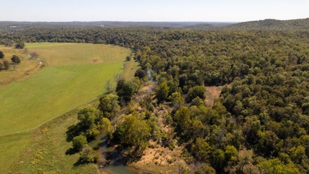 Southfork River Frontage Property With Development Potential - image 49
