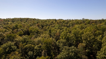 Southfork River Frontage Property With Development Potential - image 42