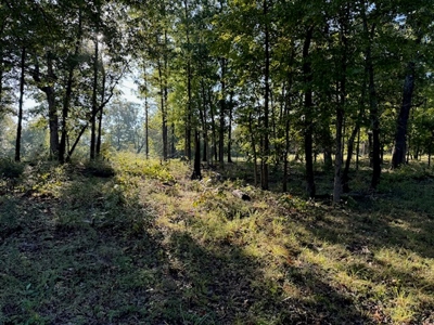 Southfork River Frontage Property With Development Potential - image 18