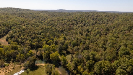 Southfork River Frontage Property With Development Potential - image 48