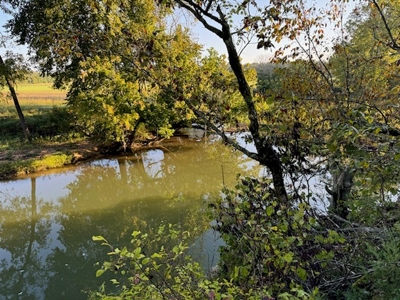 Southfork River Frontage Property With Development Potential - image 24