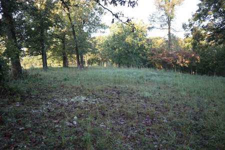Southfork River Frontage Property With Development Potential - image 2