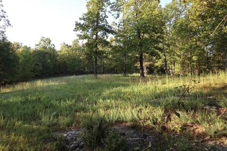 Southfork River Frontage Property With Development Potential - image 12