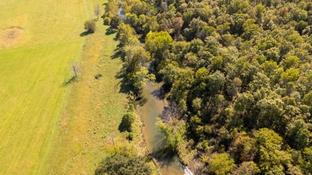 Southfork River Frontage Property With Development Potential - image 33