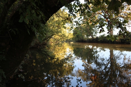 Southfork River Frontage Property With Development Potential - image 6