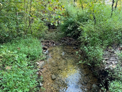 Southfork River Frontage Property With Development Potential - image 13