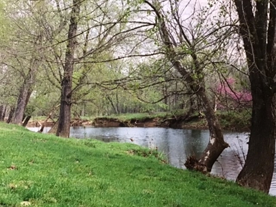 Southfork River Frontage Property With Development Potential - image 31