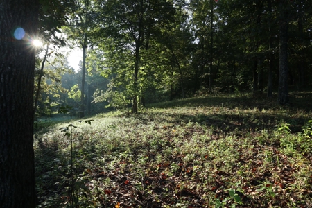 Southfork River Frontage Property With Development Potential - image 10
