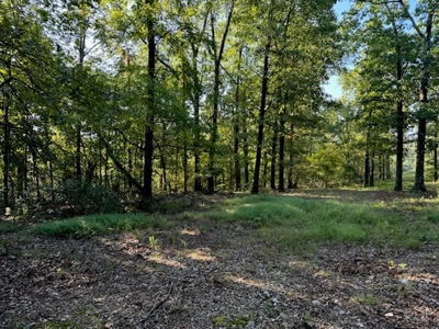 Southfork River Frontage Property With Development Potential - image 20