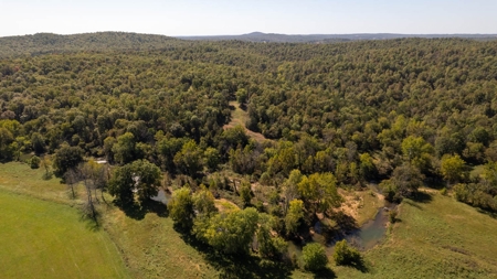 Southfork River Frontage Property With Development Potential - image 46