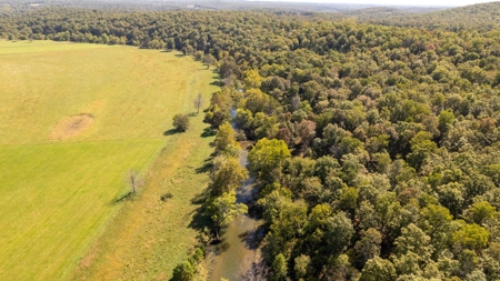 Southfork River Frontage Property With Development Potential - image 34