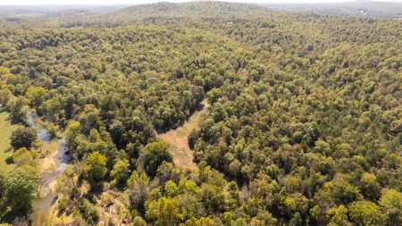 Southfork River Frontage Property With Development Potential - image 38