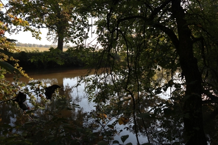 Southfork River Frontage Property With Development Potential - image 5
