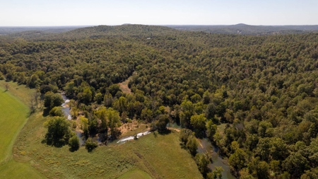 Southfork River Frontage Property With Development Potential - image 37