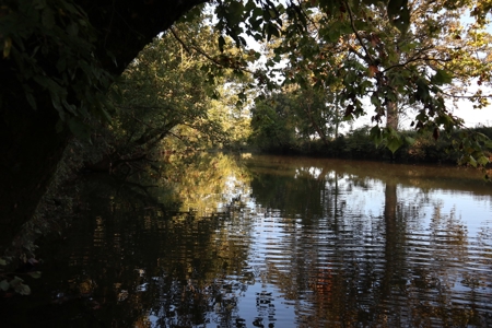 Southfork River Frontage Property With Development Potential - image 7