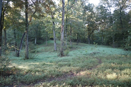 Southfork River Frontage Property With Development Potential - image 8