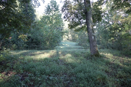 Southfork River Frontage Property With Development Potential - image 9