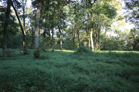 Southfork River Frontage Property With Development Potential - image 16